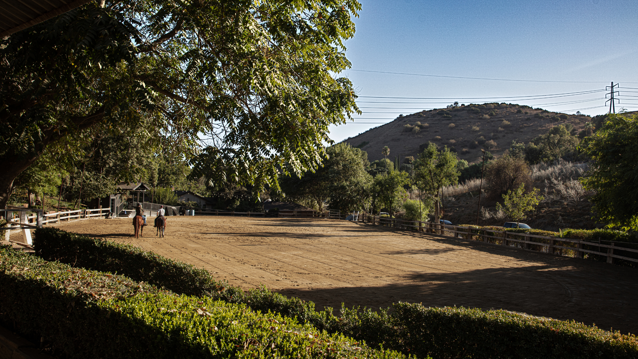 our yard image